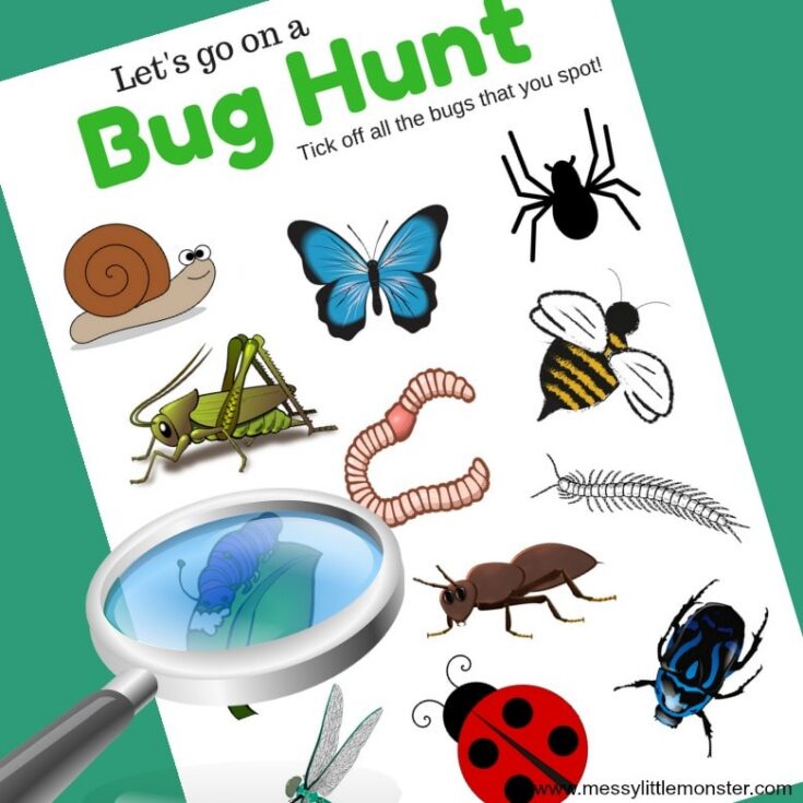 Image for Bug Scavenger Hunt 