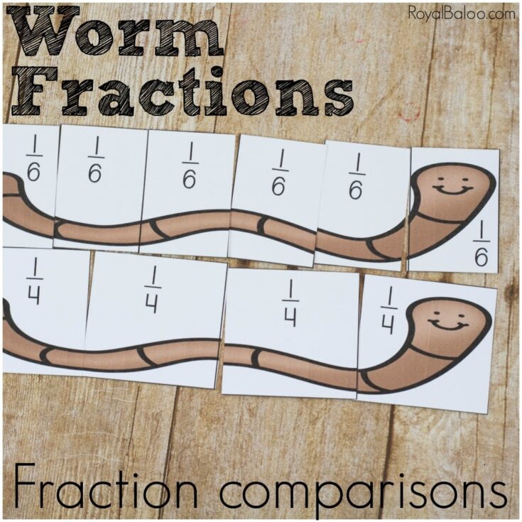 worm fractions