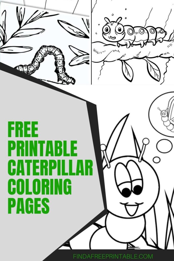 free printable caterpillar coloring pages pin