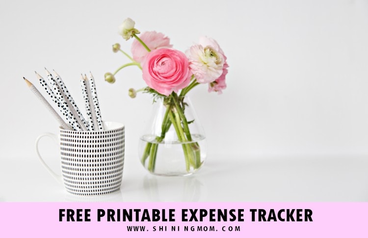 Free Printable Expense Trackers - Find a Free Printable