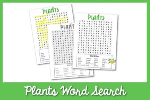 Word Seach: Plants