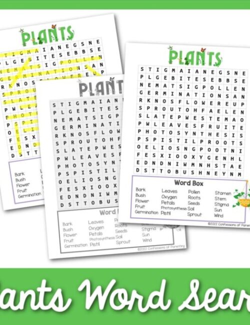 Alphabet Scavenger Hunt - Find a Free Printable