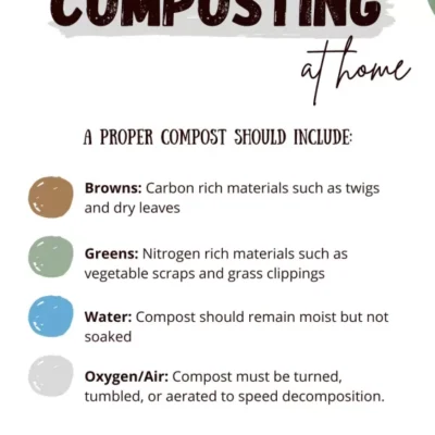 Compost List for Beginners