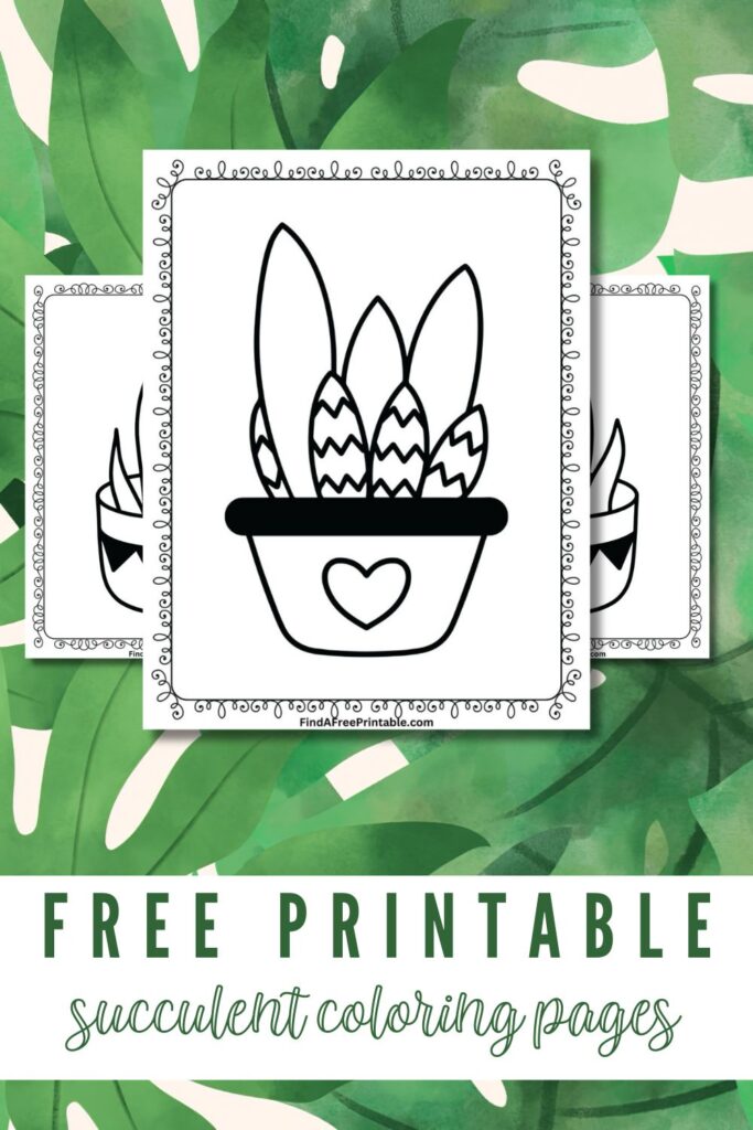 Free Printable Succulent Coloring Pages Pin