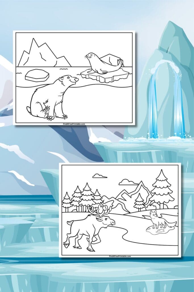 Panda, Moose, Seal, and Wolf Coloring Sheets