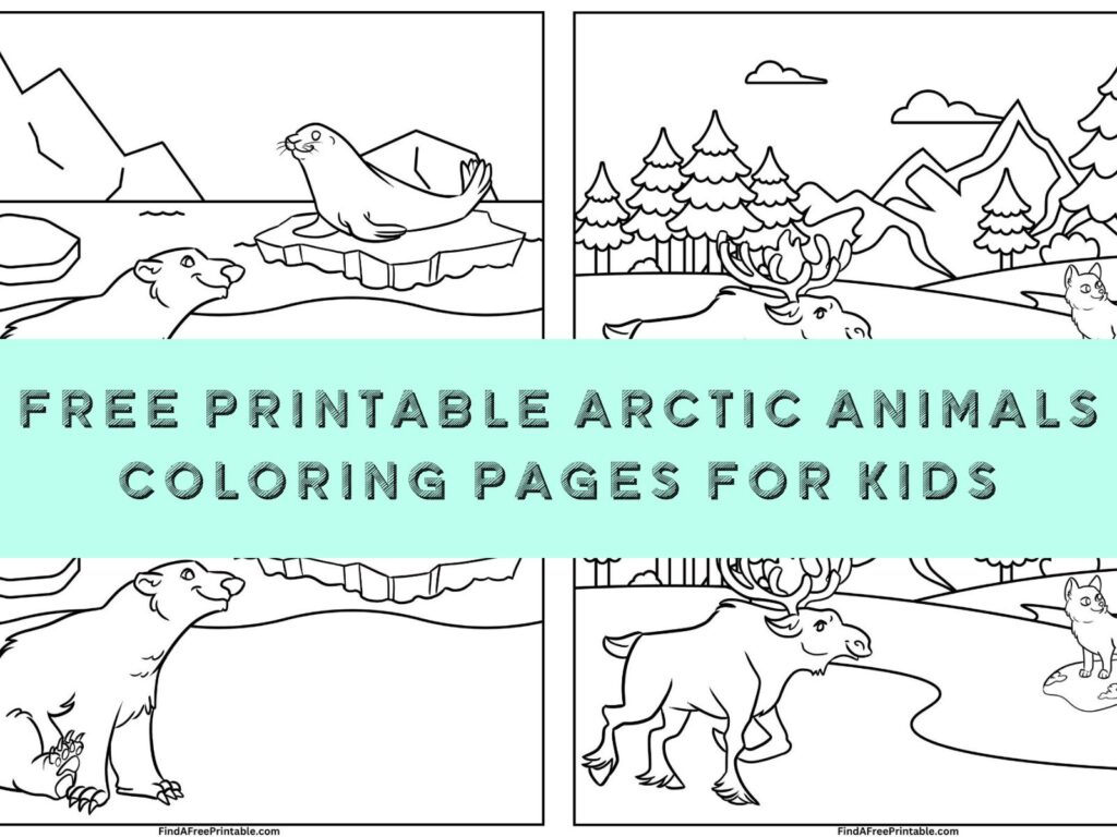2 Cute Arctic Coloring Sheets Free