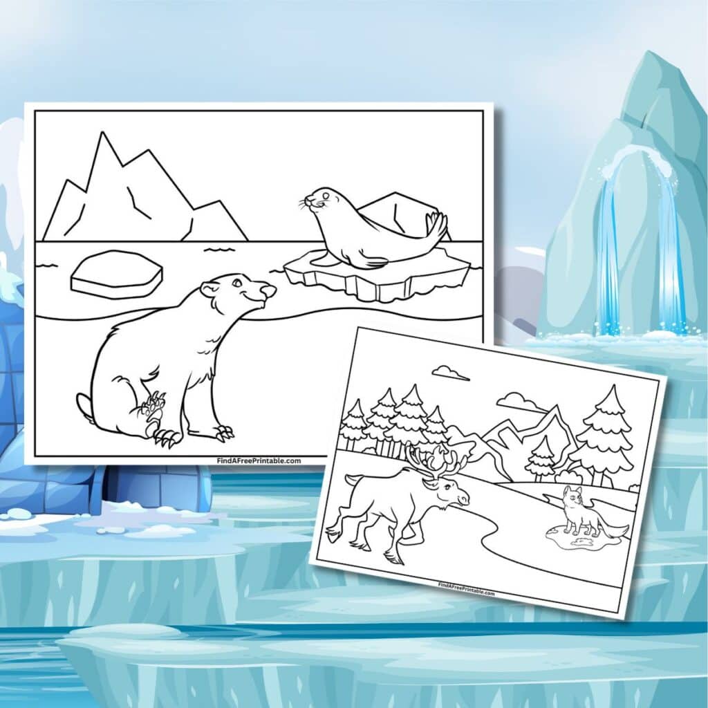 Free two coloring pages of Arctic Animals