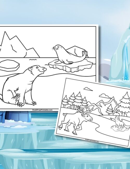 Free two coloring pages of Arctic Animals