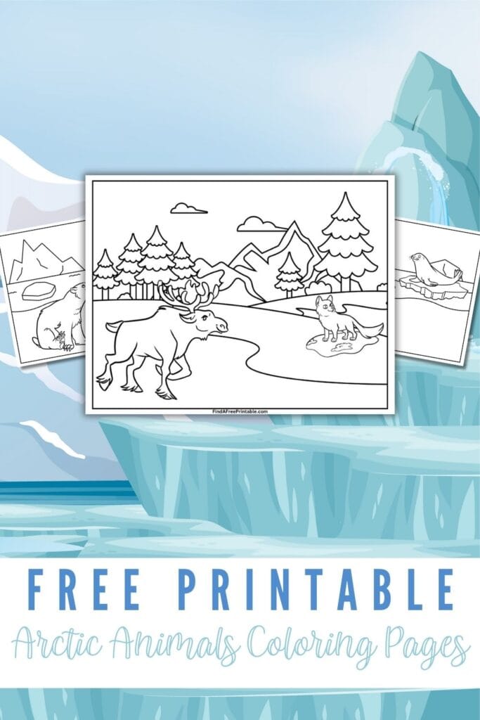 Free Printable Arctic Animals Coloring Pages Pin