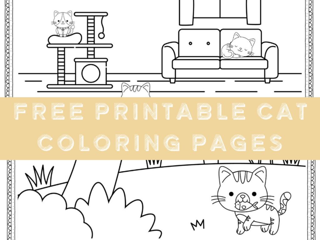 Printable Coloring Pages: Cats