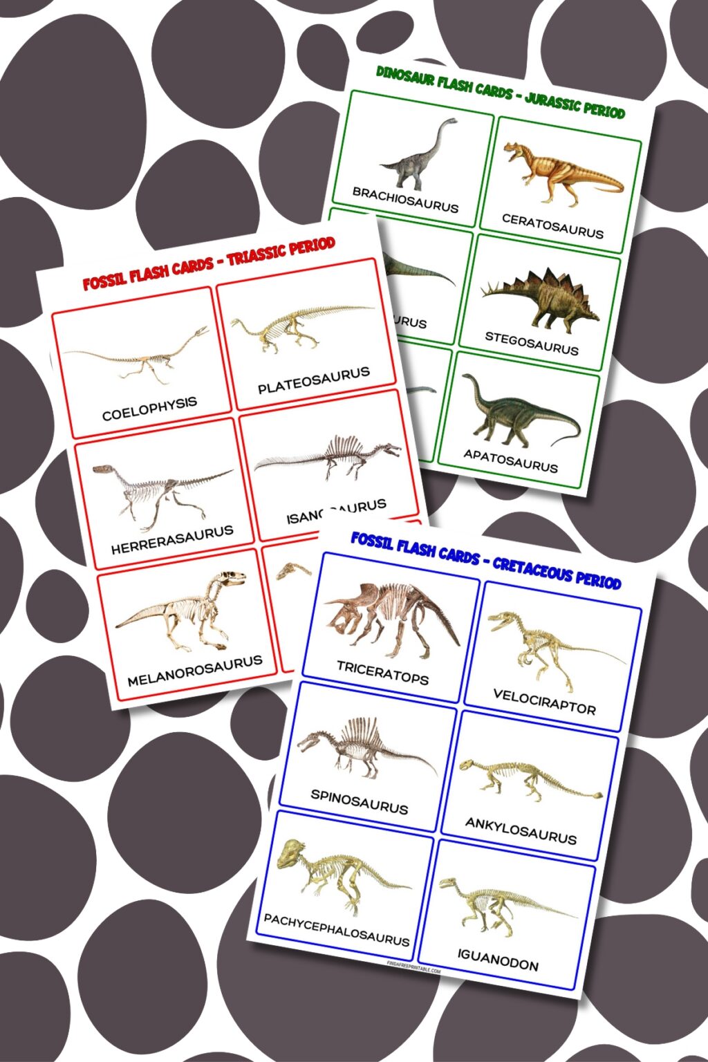 Free Printable Fun Educational Dinosaur Flash Cards - Find a Free Printable