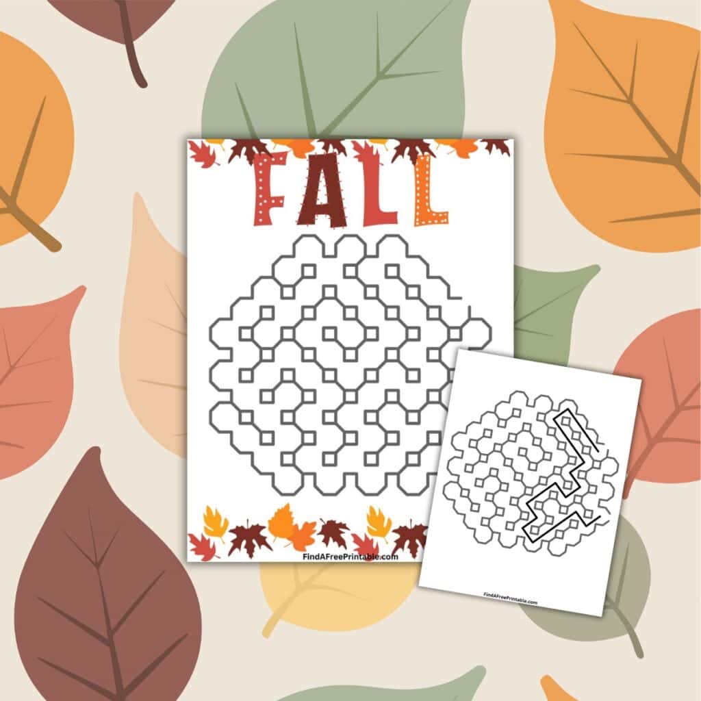 Fall Activity Worksheet